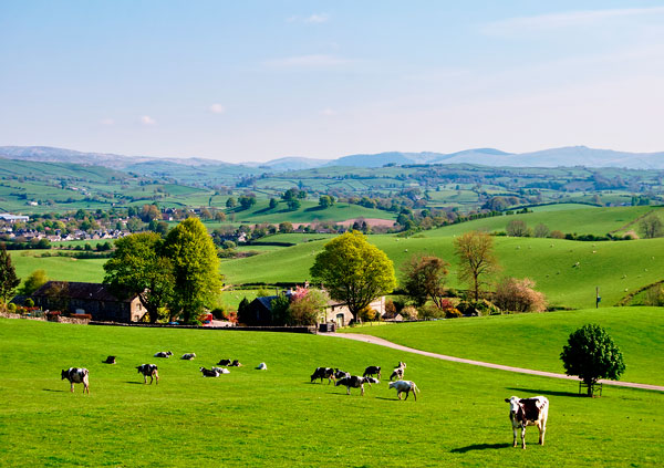 Rural